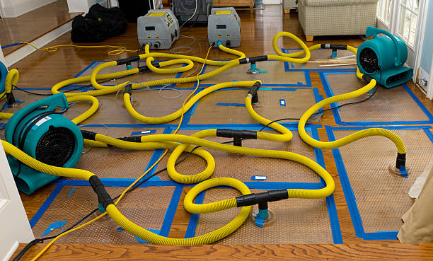 Professional Storm Water Damage Restoration technician working in Fairview, TX